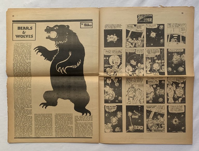 The East Village Other. Vol. 6, No. 33, 14/7/71 | Immagine Gallery 6