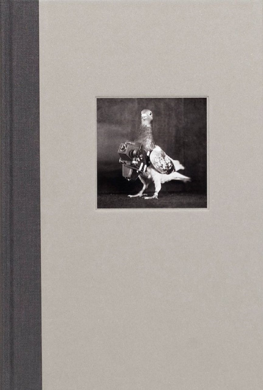 The Pigeon Photographer | Immagine principale