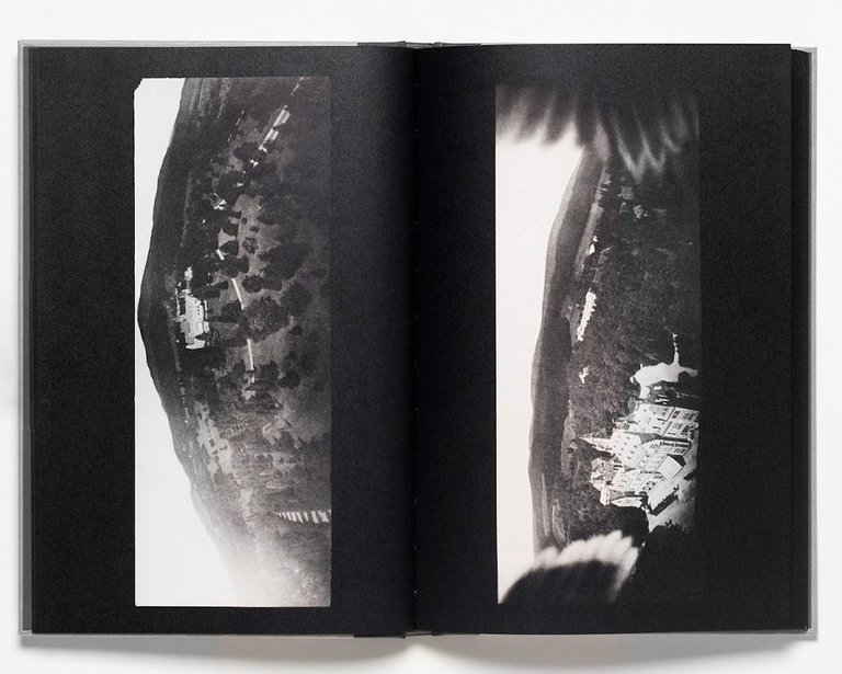 The Pigeon Photographer | Immagine Gallery 3