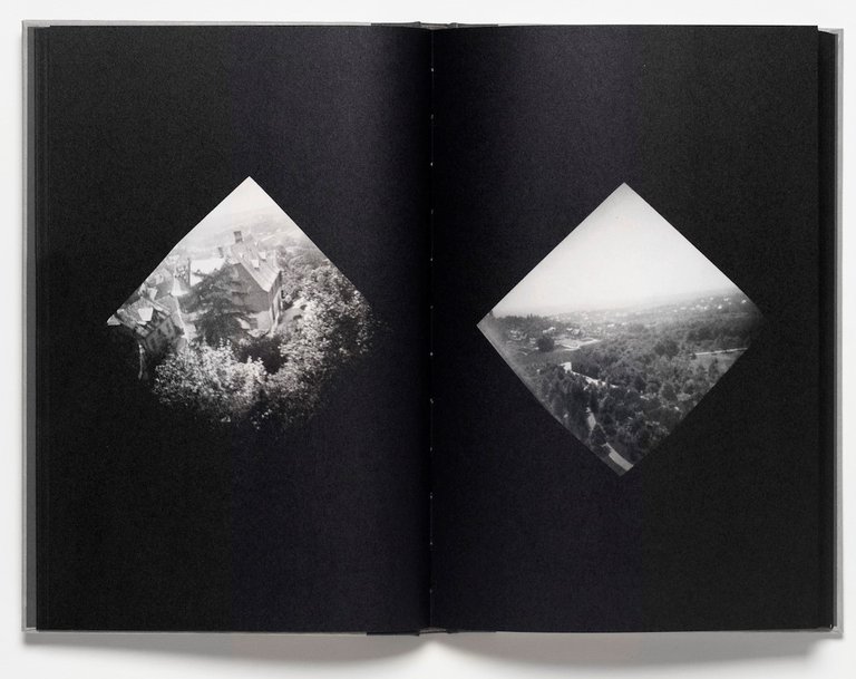 The Pigeon Photographer | Immagine Gallery 5