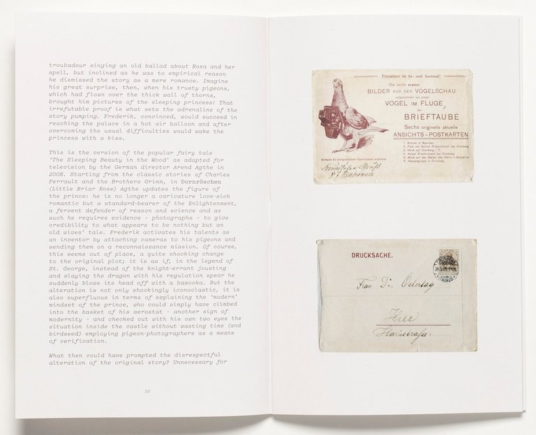 The Pigeon Photographer | Immagine Gallery 6