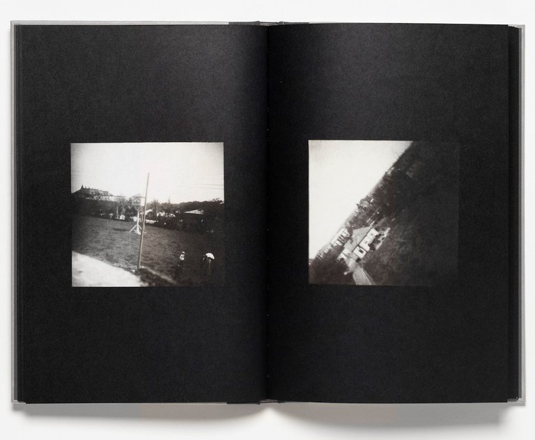 The Pigeon Photographer | Immagine Gallery 7