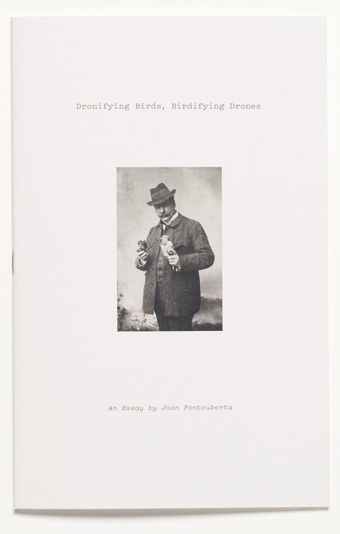 The Pigeon Photographer | Immagine Gallery 8