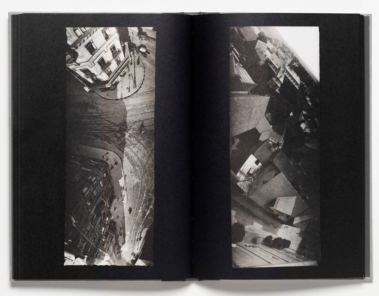 The Pigeon Photographer | Immagine Gallery 9