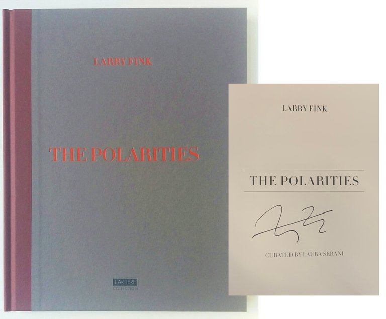 The Polarities | Immagine Gallery 2