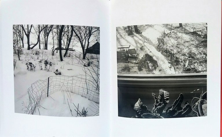 The Polarities | Immagine Gallery 5