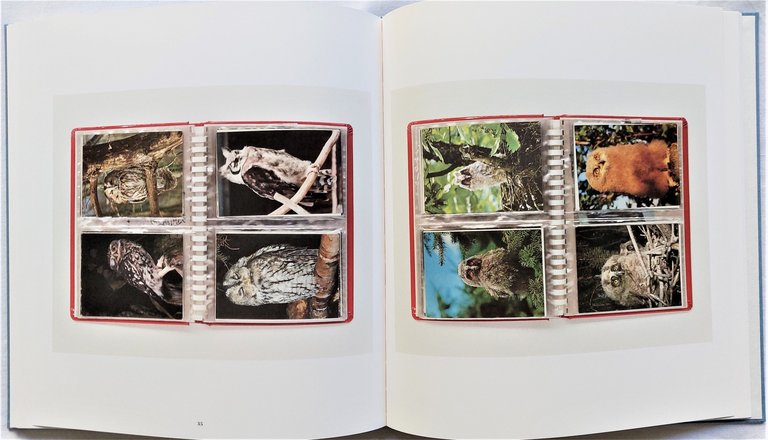 The Selected Gifts 1974-2015 | Immagine Gallery 5