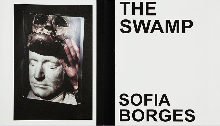 The Swamp | Immagine Gallery 2