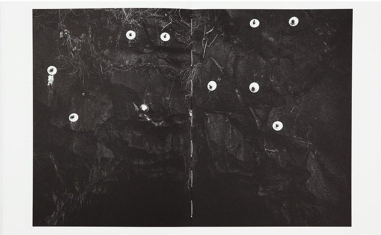 The Swamp | Immagine Gallery 4