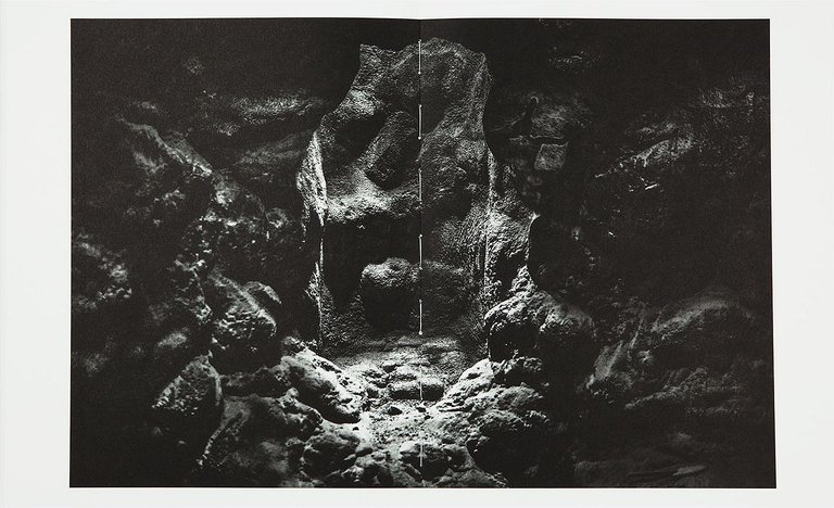 The Swamp | Immagine Gallery 5