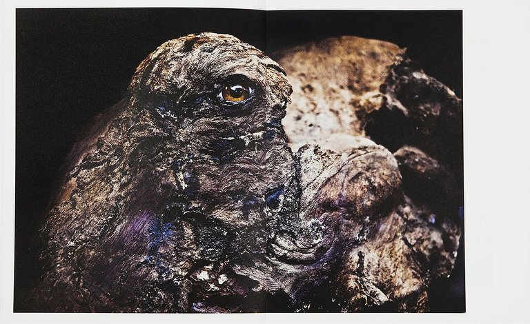 The Swamp | Immagine Gallery 6