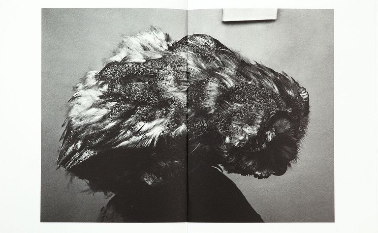 The Swamp | Immagine Gallery 7