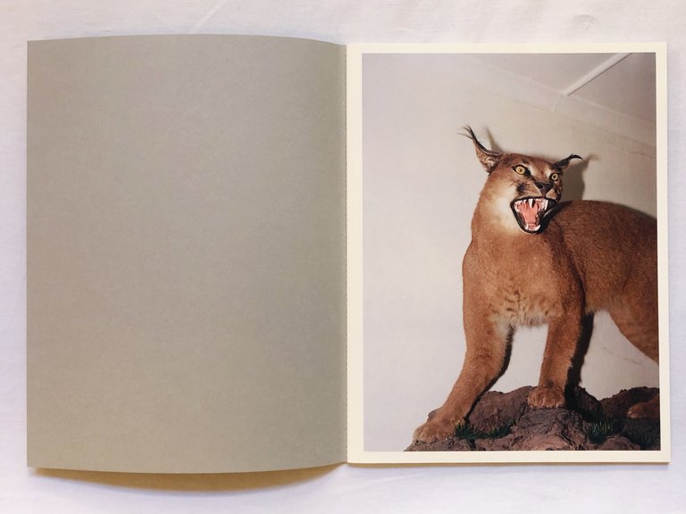 THE TWIST OF A KNEE | Immagine Gallery 3