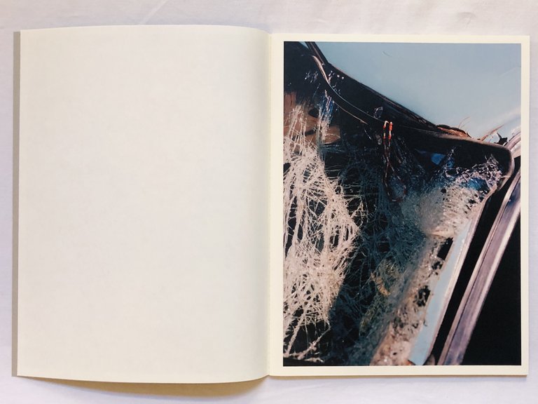 THE TWIST OF A KNEE | Immagine Gallery 4