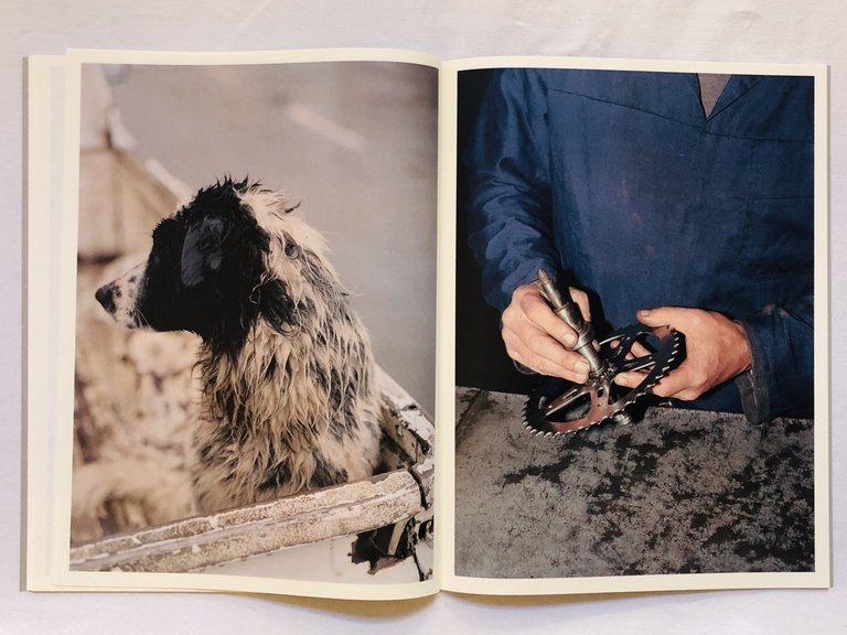 THE TWIST OF A KNEE | Immagine Gallery 9