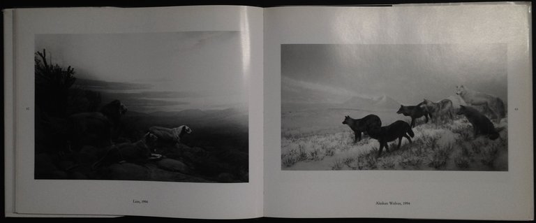 Time Exposed | Immagine Gallery 2