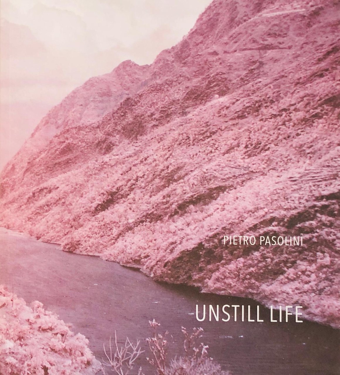 Unstill Life | Immagine principale