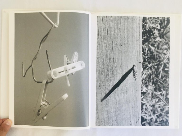 Uraniwa | Immagine Gallery 3