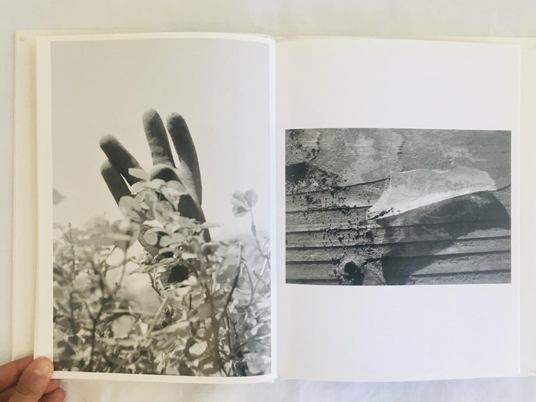 Uraniwa | Immagine Gallery 4