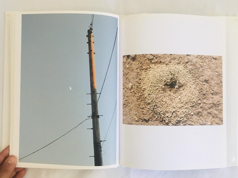 Uraniwa | Immagine Gallery 5