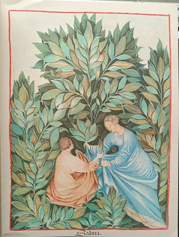 Verve Volume I, numero 4, 1938 | Immagine Gallery 4