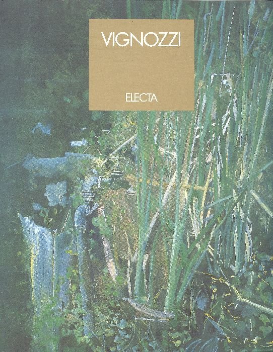 Vignozzi. Opere 1970-1994 | Immagine principale