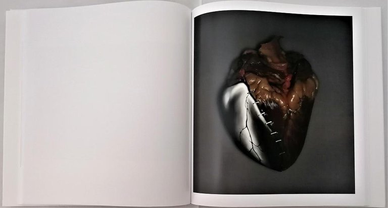 Visual Pollution | Immagine Gallery 3