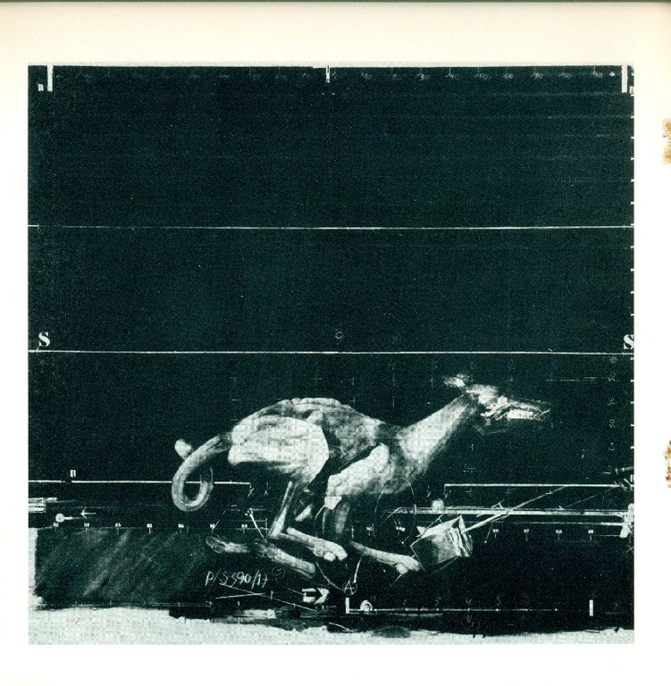 Vladimir Velickovic | Immagine Gallery 2