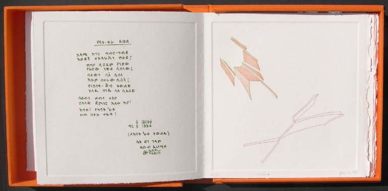 !/WA | Immagine Gallery 4