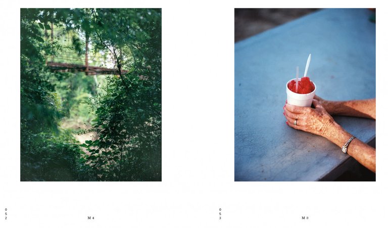 What Do You Want Here | Immagine Gallery 3