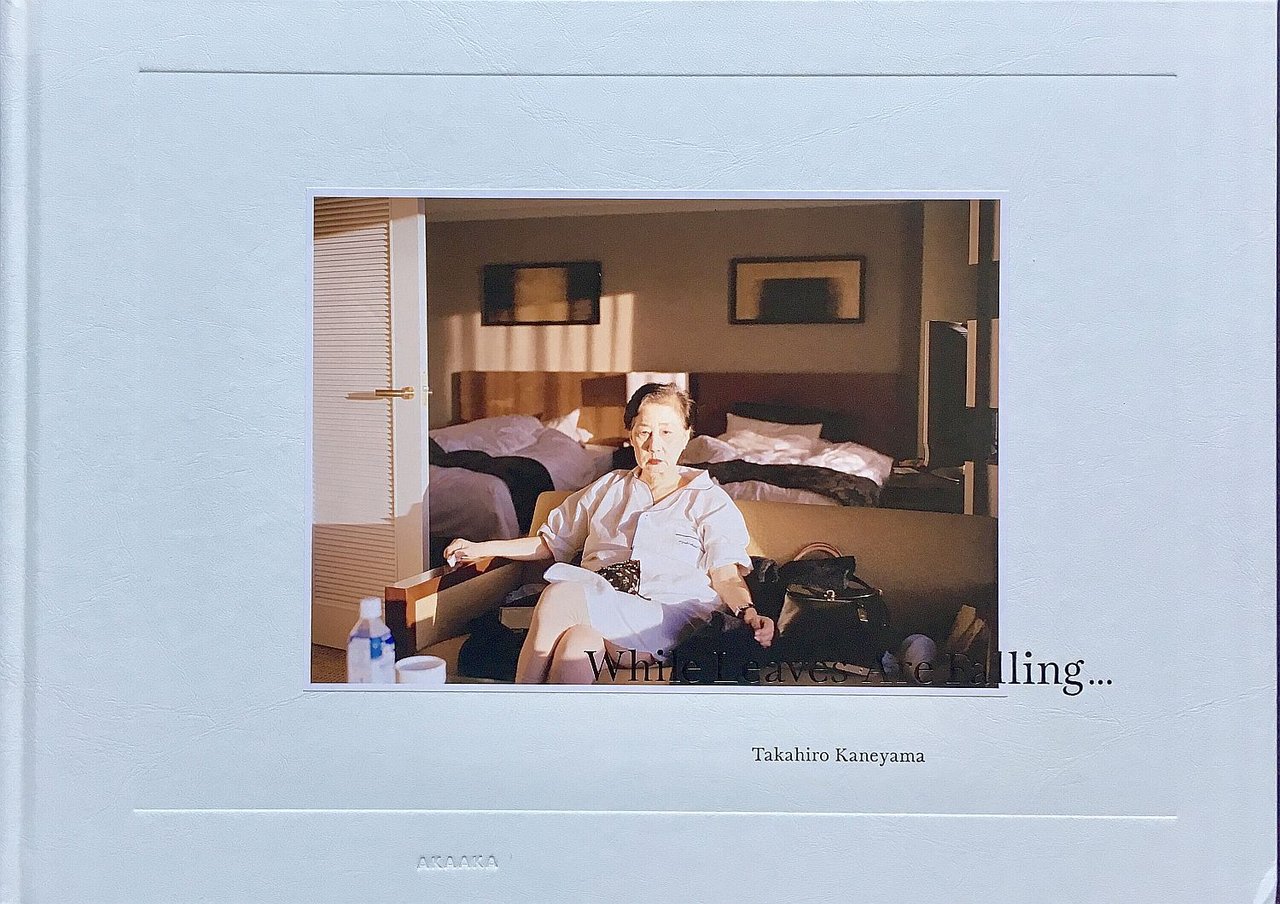 While Leaves Are Falling | Immagine principale