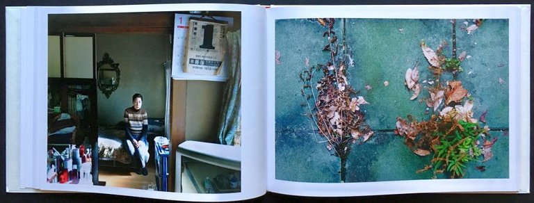 While Leaves Are Falling | Immagine Gallery 5