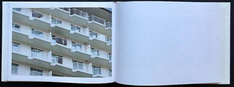 While Leaves Are Falling | Immagine Gallery 7