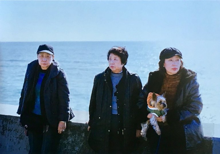 While Leaves Are Falling | Immagine Gallery 8