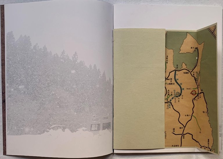 White Fang | Immagine Gallery 2