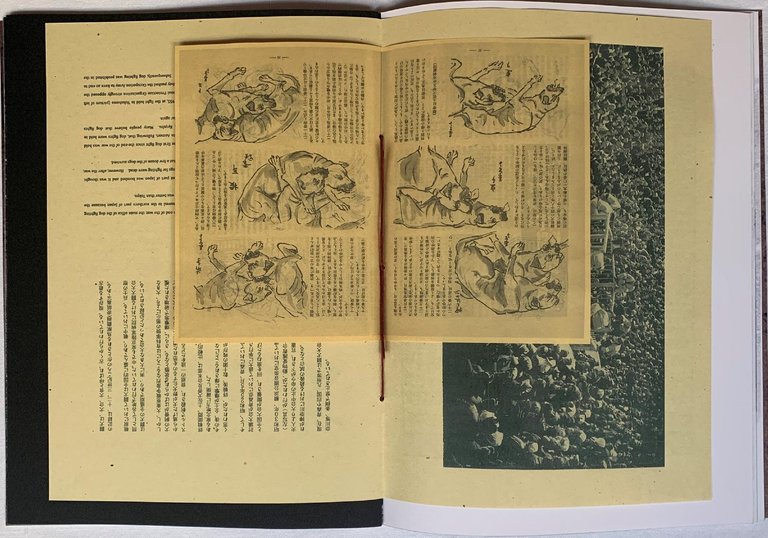 White Fang | Immagine Gallery 4