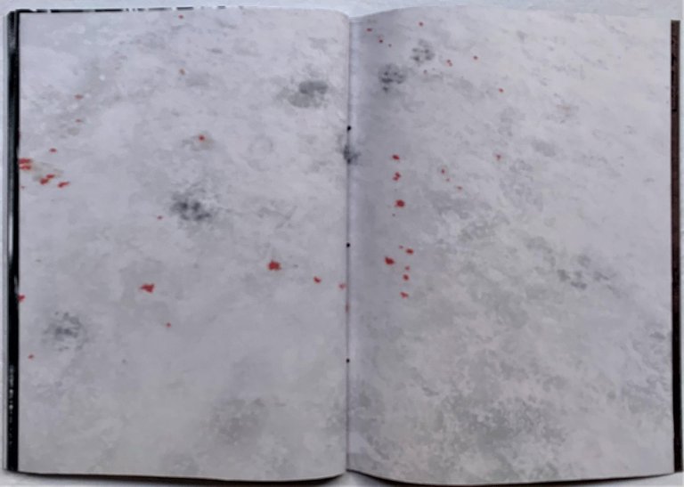 White Fang | Immagine Gallery 6