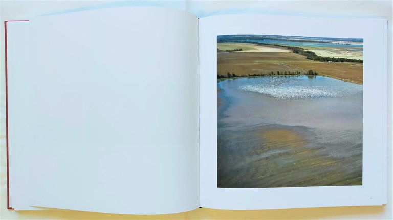 Wilmot | Immagine Gallery 4