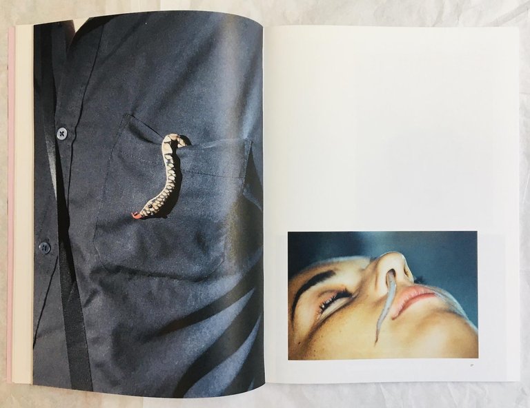 Yogurt. BAD TASTE flavour | Immagine Gallery 3