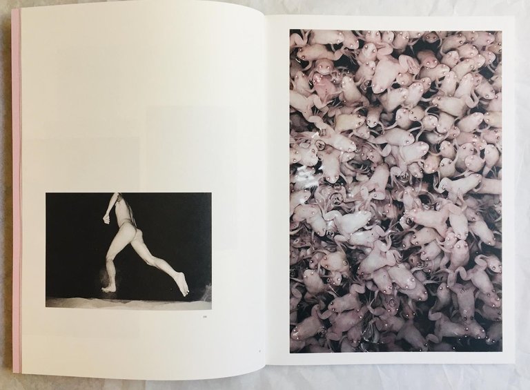 Yogurt. BAD TASTE flavour | Immagine Gallery 5