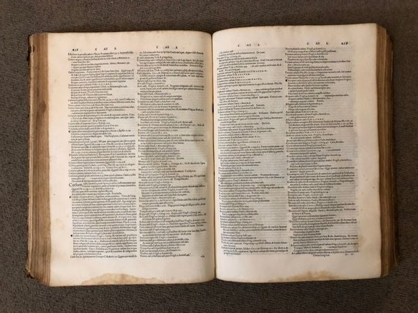 Dictionarium seu Thesaurus Latinae linguae non singulas dictiones modo continens, …
