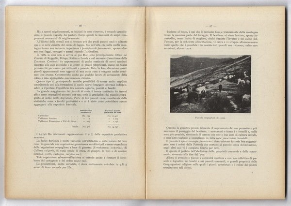 Le condizioni dell'economia rurale nell'Appennino Toscano. Volume II: Pratomagno e …