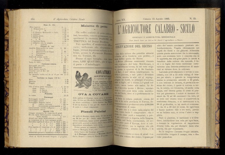 AGRICOLTORE (L') calabro siculo. Giornale di agricoltura meridionale [.] fondato …