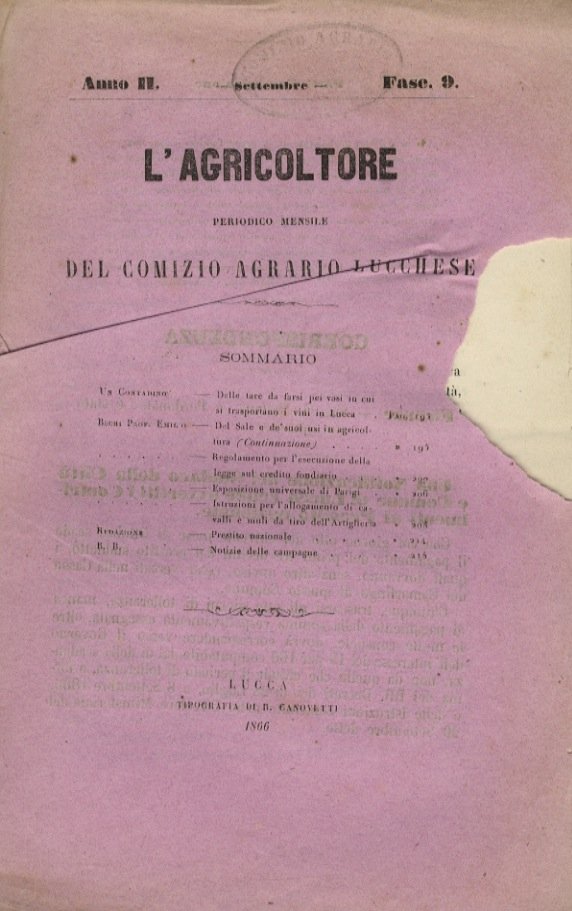 AGRICOLTURA (L'). Periodico mensile del Comizio Agrario Lucchese. Anno II. …
