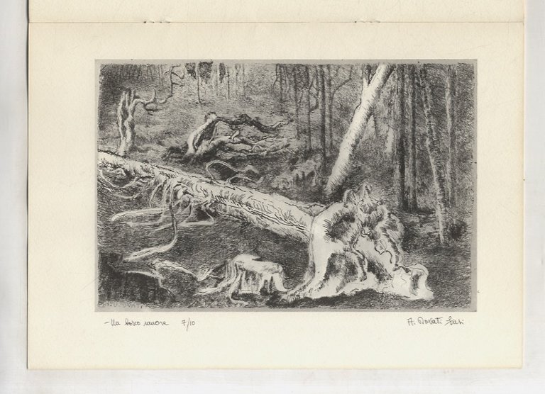 Almina Dovati Fusi. 15-27 ottobre 1983.