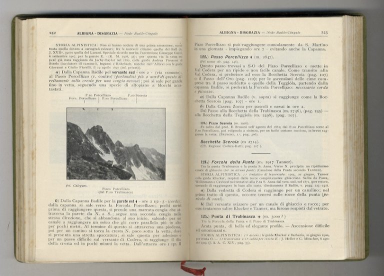 Alpi Centrali. Volume I: Alpi Retiche Occidentali. [.] (155 illustrazioni …