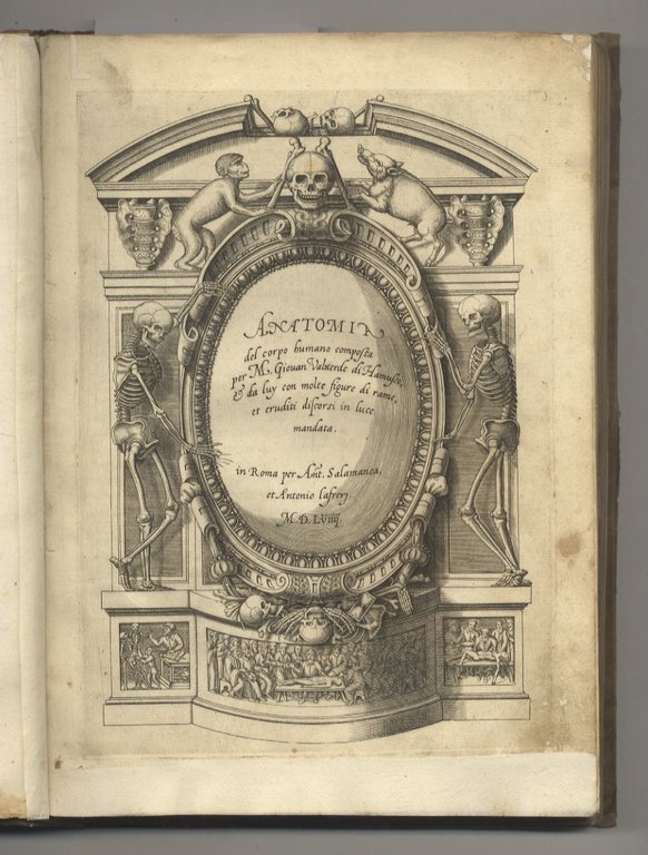 Anatomia del corpo humano composta per M. Giovan Valverde di … | Immagine Gallery 2