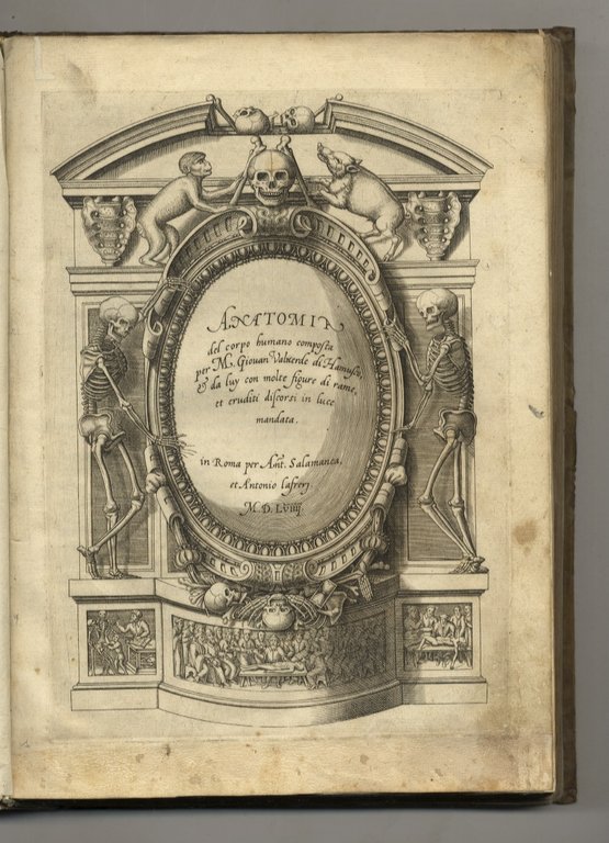 Anatomia del corpo humano composta per M. Giovan Valverde di … | Immagine Gallery 1