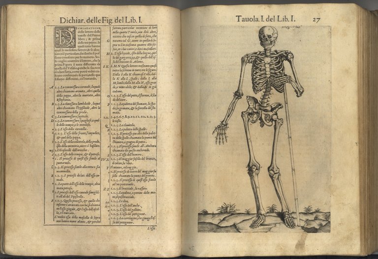 Anatomia del corpo humano composta per M. Giovan Valverde di …