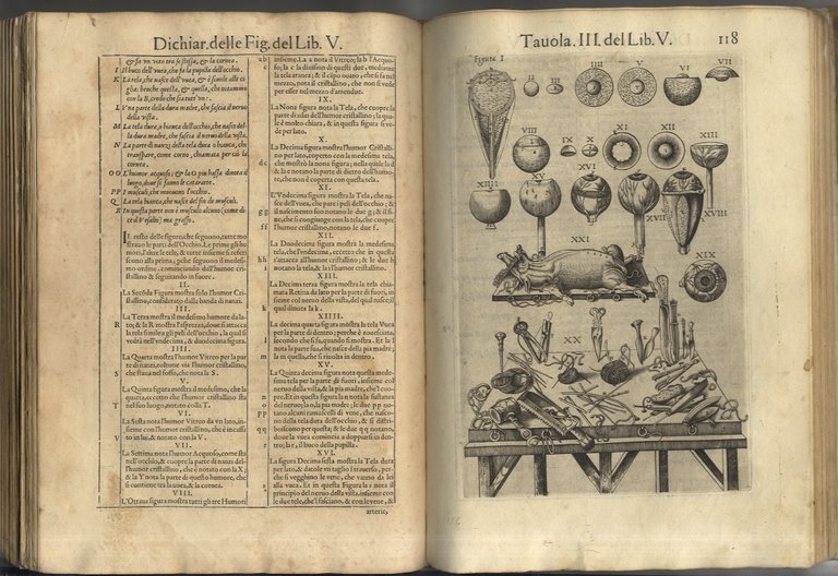 Anatomia del corpo humano composta per M. Giovan Valverde di …